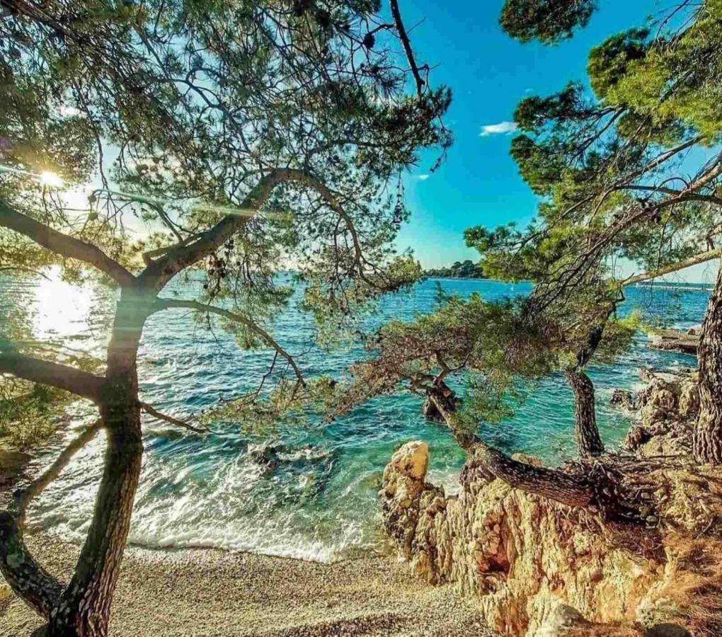 Luxury New !!! Apartment One And Only With Terrace & Free Bikes Porec Esterno foto