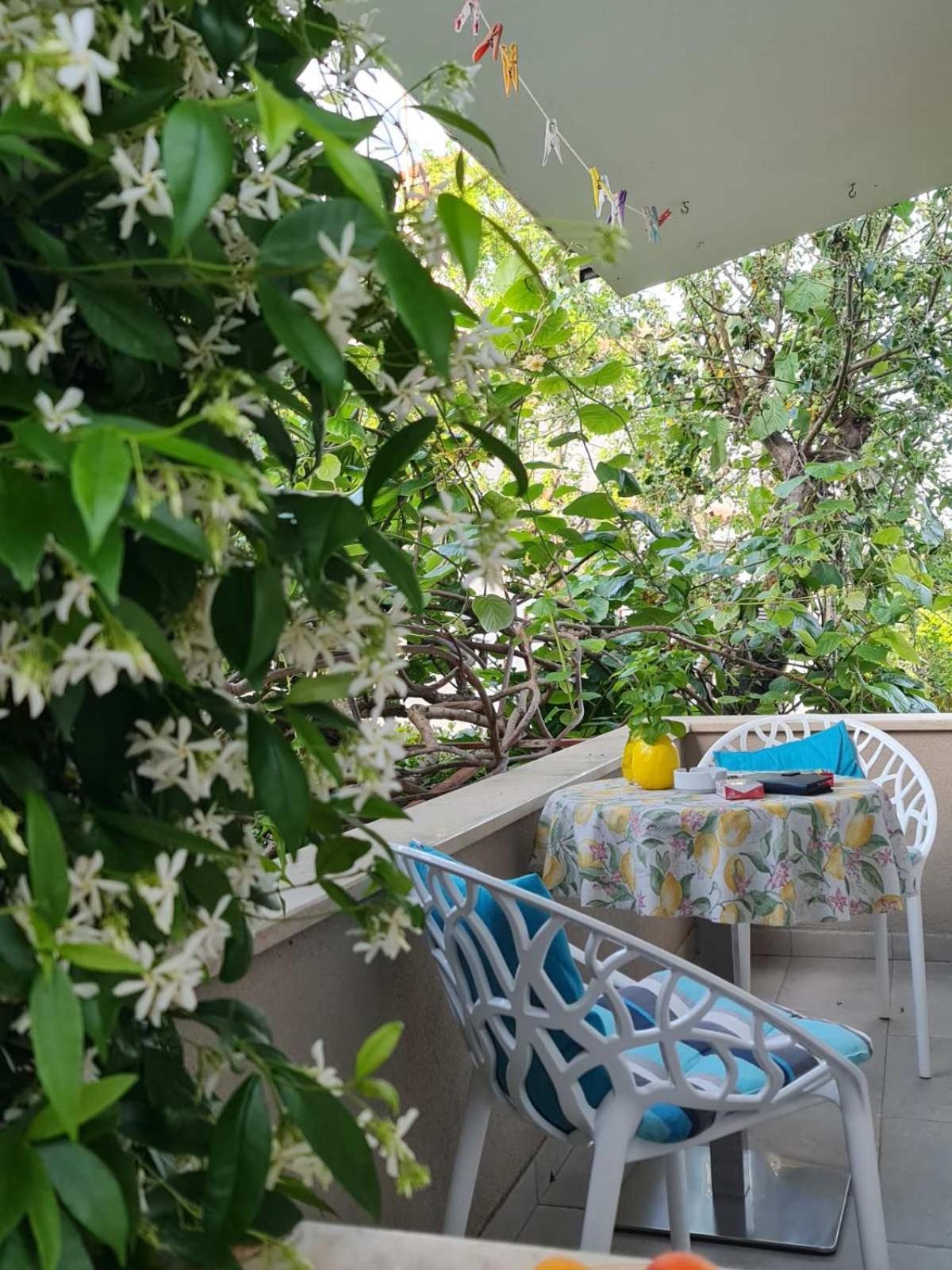 Luxury New !!! Apartment One And Only With Terrace & Free Bikes Porec Esterno foto