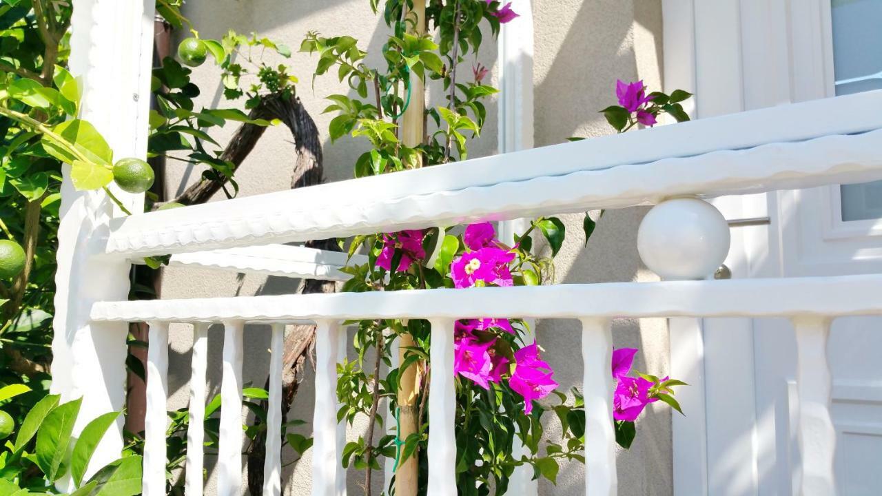 Luxury New !!! Apartment One And Only With Terrace & Free Bikes Porec Esterno foto